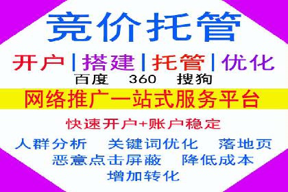 专业SEM服务托管方案案例分析